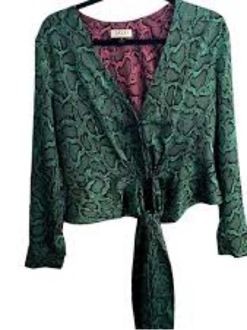 Delfi Green Snake-Print Tie-Front Blouse, Small